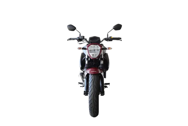 Suzuki Gixxer 250 3