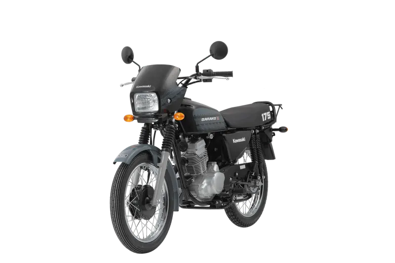 Kawasaki BARAKO II Kick 2